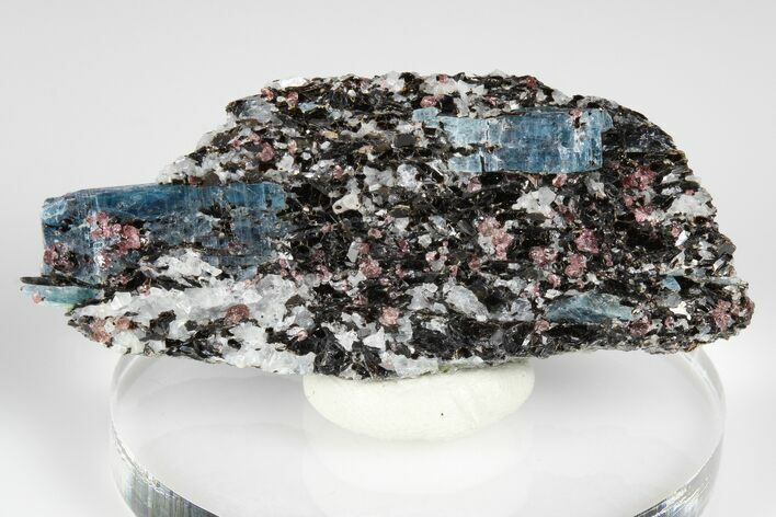 Blue Kyanite & Garnet in Biotite-Quartz Schist - Russia #178946